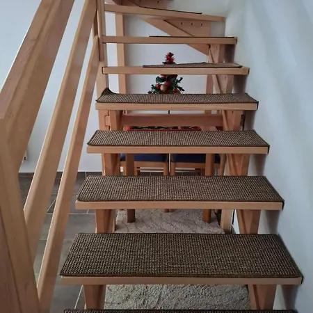 Nana Vlasic * Sisava